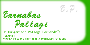 barnabas pallagi business card